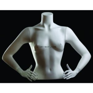 Torsos c/Brazos Hombre/Dama